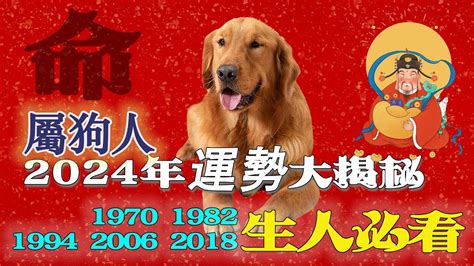 1970 屬狗2024 運勢|【2024 狗 1970】屬狗者2024年運勢，1970年出生的狗運勢大解。